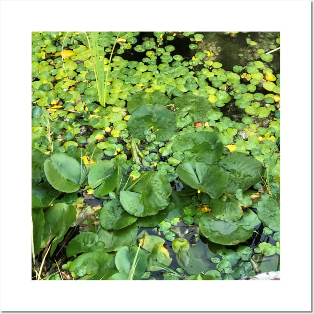 Lilly Pads Wall Art by Ruminations